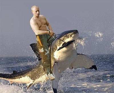 putin on a shark